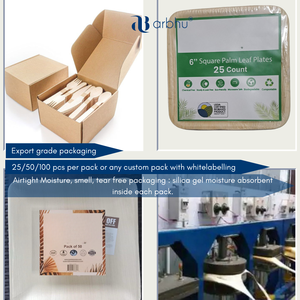 Assiettes rondes en feuilles de palmier Areca, vaisselle jetable biodégradable, écologiques, pour les professionnels de la restauration - Product Image 3