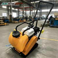 Compacteur à plaque thermique de 70 kg pour asphalte et sol dans la construction en Indonésie