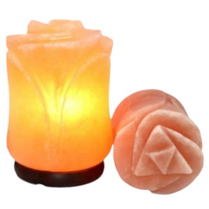 Lampe en sel de l'Himalaya sculptée, forme géométrique, motif floral, artisanat naturel, toucher réel, décoration d'intérieur, Sian Enterprises - Product Image 4