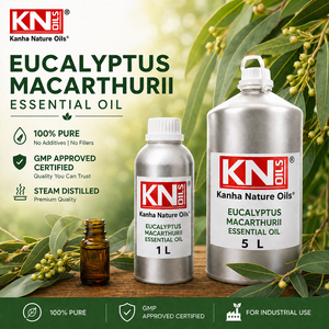 Premium <b>Sweet</b> Eucalyptus Macarthurii Essential Oil 100% Pure Steam Distilled Organic Certified Top Grade <b>Bulk</b> Supplier - Product Image 2