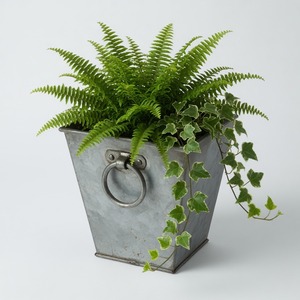Jardinière carrée conique en fer galvanisé avec poignées annulaires, pot à fleurs en métal, décoration de jardin de style farmhouse, pot pour plantes d'intérieur et d'extérieur - Product Image 6