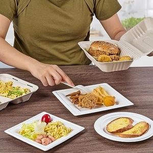 Boîte en bagasse de 9x6 pouces, compatible micro-ondes, pour les déjeuners au bureau et à l'école, boîte repas biodégradable pour l'emballage des aliments chauds et froids - Product Image 1