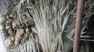 Hojas de palma secas, hojas de palma naturales secas, hojas de palma mini secas, lances de palma secos, hojas de palma deshidratadas - Product Image 2