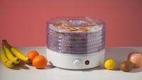 Food Dehydrator Fruit Droger Voedsel Droger Met Mechanische Controle Of Digitale Controle Met Ce Lfgb Rohs