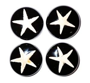 Starfish Real Specimen Plastic Cabochon Round 35x35 mm Black Flat Bottom for Crafts and Jewelry Making - Product Image 1
