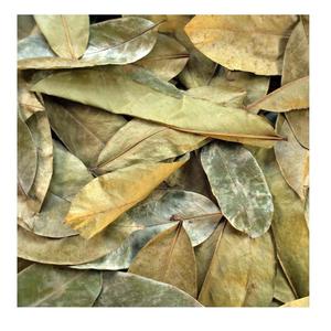Dried Soursop Leaves Fermented Broken <b>Tea</b> Brew with Hot Water Organic Health <b>Tea</b> Non Sugar 50gr <b>Box</b> Packaging EXPAD CO Grade a - Product Image 4