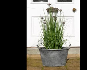 Unique Galvanized Planter Pot <b>for</b> Indoor Succulent Arrangement and Decorative <b>Table</b> Garden Display Application - Product Image 4