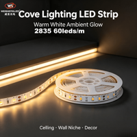 Lampu Strip LED 2835 60leds/m DC 12V  Lumen Tinggi Lampu Pita LED Fleksibel Untuk Dekorasi Proyek Dalam Ruangan