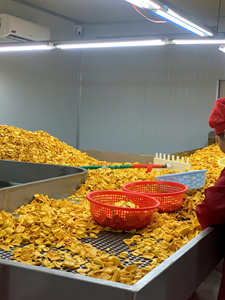 Vente flash : chips de jackfruit séché du Vietnam |   Prix de gros d'usine - Product Image 6