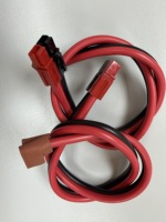 Câble de raccordement en cuivre plat 2 fils, calibre 12, gaine PVC, SP30A, rouge et noir, 3,0 mm, 50-100°C, pour connecteur de câble d'alimentation CC, 300V, basse tension