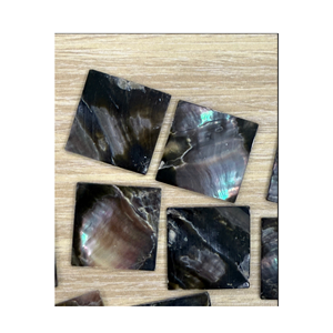 Premium Natural <b>Shell</b> Inlay Tiles for Furniture Accessories Interior Decoration and Mosaic Art Creation - 99 Gold Data - Product Image 4