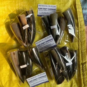 Punta de Cuerno de Búfalo Natural, Color Natural, Alta Calidad - Product Image 1