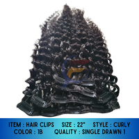 Nuevo Clip para el Cabello 2025, Juego de 4 Piezas, 100gr, Cabello Lacio Indonesio, Extensiones de Cabello Humano Virgen Remy 100%, Longitud de 8"-32"