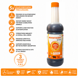 BoostaSky Energy, Estimulante del Apetito, Precursores Glucóneo-génicos (Cloruro de Colina, Niacina) para Ganado Vacuno, Ovino y Caprino |   Jarabe Sin Granos | - Product Image 2