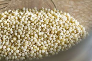 Millet décortiqué de haute qualité en vrac, graines de millet biologique pour l'industrie alimentaire, alimentation des oiseaux, qualité export garantie Autriche - Product Image 6