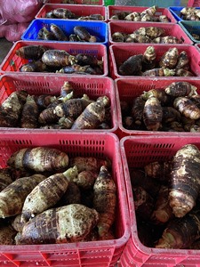 OFERTA ESPECIAL: Tiras de Taro Morado Natural Descongeladas de Vietnam, Peladas y Desmenuzadas, Tecnología IQF, Calidad de Exportación para Dim Sum y Repostería - Product Image 2