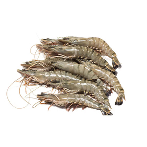 Camarones Tigre Negro Congelados de Alta Calidad PD disponibles para pedidos grandes - Product Image 3