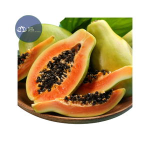 สินค้าขายดี |   เมล็ดมะละกออบแห้ง ขายส่งจำนวนมาก พรีเมียม ออร์แกนิก เมล็ดมะละกอดิบ วัตถุดิบปรุงอาหาร เวียดนาม - Product Image 1