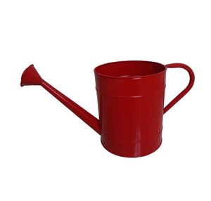 Arrosoir décoratif personnalisé pour l'aménagement de jardins rustiques et les besoins d'entretien des plantes - Product Image 3