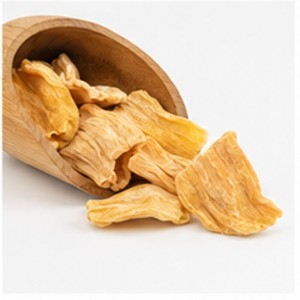 Jacquifruit Deshidratado en Rodajas, Producto Vietnamita de Primera Calidad, el Más Vendido, a la Mejor Tasa Estándar Internacional, en Grandes Cantidades - Product Image 4