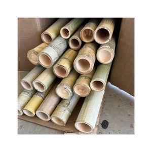 Estacas de Bambú de Alta Calidad, Precio Económico al por Mayor, Postes Rectos Resistentes y Duraderos, Suministro a Granel de Fábrica Premium, Naturales - Product Image 1