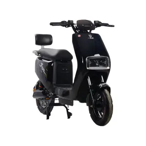 Wholesale Supplier Long Range Cargo Scooter 1000w Ckd 2 Wheel Electric Delivery Motorbike Powerful Adult Moto Electriqu For Sale