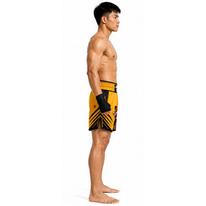 Pantalones Cortos de Muay Thai y Kickboxing Fairtex para Hombre, Mujer y Niños, Pantalones Cortos de Boxeo Estampados de Tailandia para Entrenamiento en Gimnasio, MMA y Jiu-Jitsu - Product Image 5