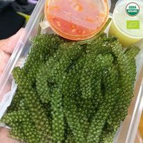 Uvas de Mar Deshidratadas Premium 100% Caulerpa Lentillifera envasadas al vacío de Vietnam - para consumo directo - Product Image 6