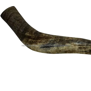 Cuerno de búfalo de alta calidad Cuerno vikingo natural pulido de vidrio grande para una experiencia de bebida Premium - Product Image 1