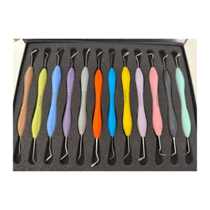 ชุดอุปกรณ์อุดฟันคอมโพสิต 12 ชิ้น พร้อมด้ามจับซิลิโคน Ergomax แบบใช้มือสำหรับงานบูรณะฟัน ปลายสองด้าน ใช้ซ้ำได้ บรรจุในตลับ - Product Image 1