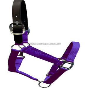 Fancy Colorful Nylon Webbing Extra Comfort Nylon Horse Halter en COB completo sobre tamaños con doble corona Hebilla de níquel y anillos - Product Image 3
