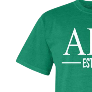 Camiseta de Manga Corta con Letras Griegas Personalizadas AKA, Camiseta Verde de Algodón con Cuello Redondo para Eventos de Hermandades - Product Image 2
