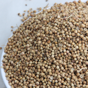 Meilleures graines de coriandre de qualité supérieure en gros, prêtes à être expédiées, qualité alimentaire, pour l'exportation - Product Image 1