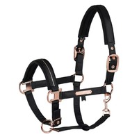 Collier de tête professionnel pour cheval, style anglais, de haute qualité, pour l'équitation, l'entraînement en écurie, l'utilisation en extérieur - Cuir PU