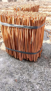 Tubo de flauta de canela de alta calidad Producto agrícola vietnamita barato de exportación Canela - Product Image 5