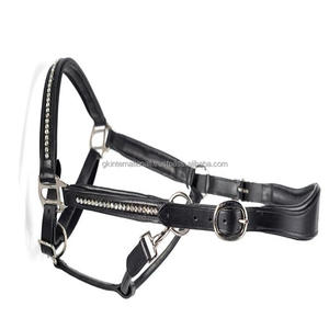 Halter de caballo de cuero anatómico en cuero indio de alta calidad con relleno de vaca ultra suave y Halter de caballo decorativo ostentoso - Product Image 5