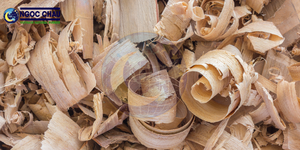 Copeaux de bois d'acacia de haute qualité NGOC CHAU pour le combustible biomasse et la pâte à papier, provenant de l'usine de Ho Chi Minh City - Product Image 4