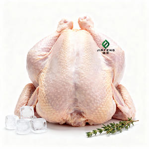 ผู้จัดจำหน่ายสินค้าจีนราคาส่ง เนื้อไก่สดแช่แข็ง อก<span class=keywords><strong>ไก่</strong></span> <span class=keywords><strong>ปีก</strong></span><span class=keywords><strong>ไก่</strong></span> เนื้อไก่ - Product Image 6