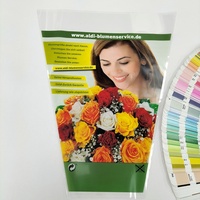Bolsas de Plástico Biodegradables Premium CPP OPP con Impresión de Logotipo Personalizado para Ramos de Flores, Envoltorios Impermeables para Plantas