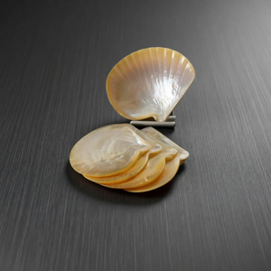 จานเปลือกหอยมุกทำมือพร้อมขอบแกะสลักสำหรับใส่แหวน ต่างหู ใช้ตกแต่งและเสิร์ฟอาหาร พร้อมเปลือกหอยมุกธรรมชาติที่มีความเงางาม - Product Image 4