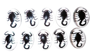 Scorpion noir, spécimen réel, cabochon en plastique ovale 30x40 mm, fond plat transparent pour l'artisanat et la fabrication de bijoux - Product Image 2