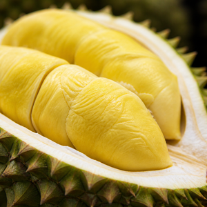 LA QUEO DURIAN VIETNAM |   Variedad local distintiva para venta al por mayor y exportación - Product Image 6