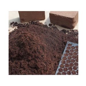 Substrat de coco le plus vendu pour une culture hydroponique fiable en serre et des ensembles de litière pour terrariums de reptiles - Product Image 3