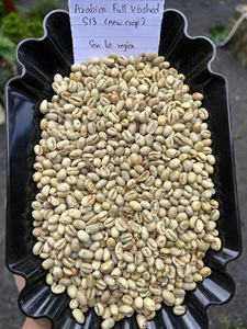 Prix compétitif Grains de café Arabica vert S18 Origine propre Lam Dong Vietnam Entièrement lavés Emballage en vrac Vente en gros - Product Image 2