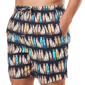 Shorts de Baño para Hombre con Estampado de Personajes, Secado Rápido, Cintura con Cordón Ajustable, Traje de Baño Informal, 100% Poliéster, Corte Corto - Product Image 6