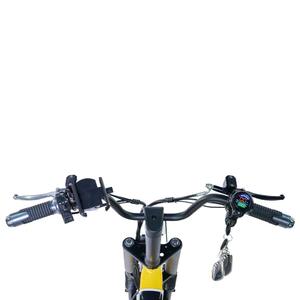 Vélo électrique de livraison de 16 pouces avec batterie au lithium 48V 15Ah, longue autonomie, usage intensif - Modèle King - Product Image 5
