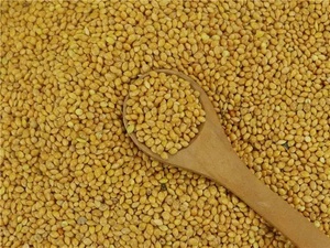 Grain de millet jaune, grain de millet gluant, graines de millet biologiques, ingrédient alimentaire fraîchement cultivé pour la cuisine - Product Image 2