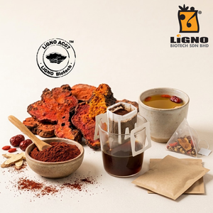 Poudre active brute d'Antrodia Camphorata LiGNO AC07, mélange pour boisson fonctionnelle type latte, certifié Halal et Casher, qualité alimentaire, OEM - Product Image 1