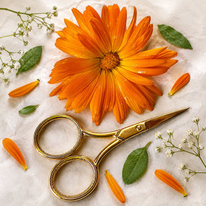 Professional <b>Thread</b> Scissors Fine Tip Stainless Steel Embroidery Sewing Craft <b>Tool</b> - Product Image 1