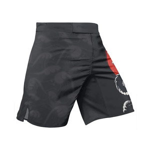 MMA <b>Shorts</b> Custom Design Sublimated Print Breathable Quick Dry Stretch Front Back Logo Unisex Gym Training UFC Grappling - Product Image 2